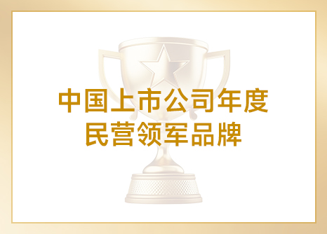 奖项1